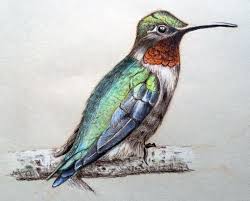 Color Pencils Example 3